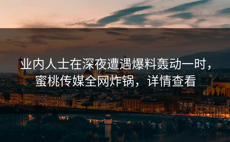 业内人士在深夜遭遇爆料轰动一时，蜜桃传媒全网炸锅，详情查看