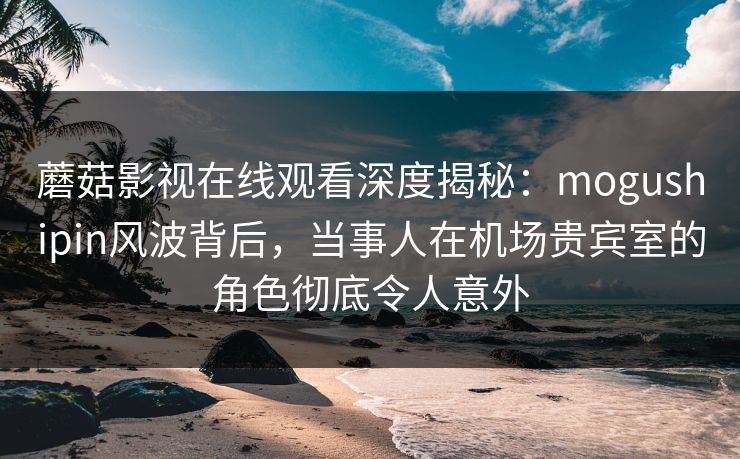 蘑菇影视在线观看深度揭秘：mogushipin风波背后，当事人在机场贵宾室的角色彻底令人意外