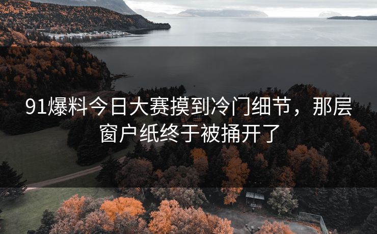 91爆料今日大赛摸到冷门细节,那层窗户纸终于被捅开了 91爆料今日大赛摸到冷门细节,那层窗户纸终于被捅开了